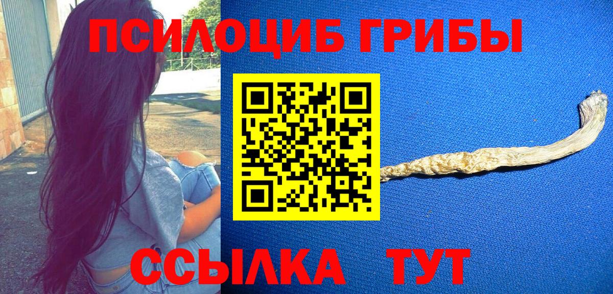 Галлюциногенные грибы прущие грибы  Псилоцибиновые грибы мицелий  Кондопога  Вход с VPN 